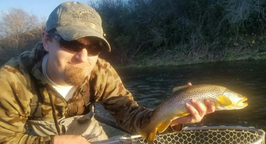 Caddis Fed Brown